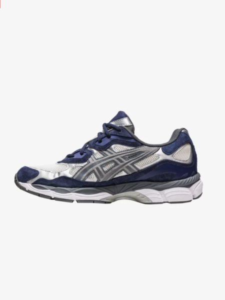 Asic 10003