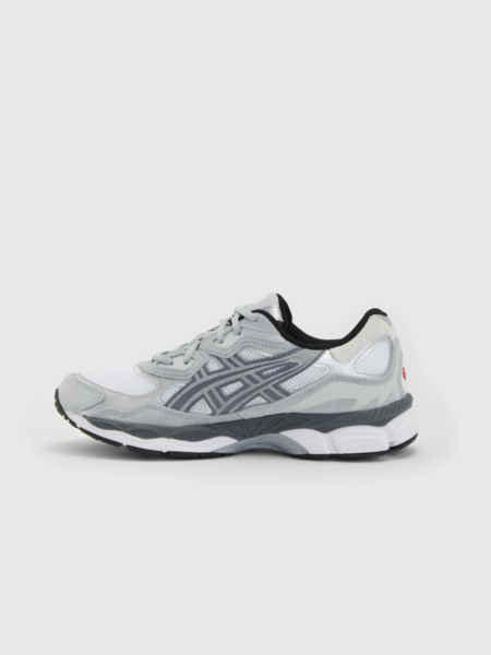 Asic 10006